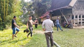 Unit Resmob Polres Torut saat membubarkan judi sabung ayam, di Lembang Bangun Lipu, Kecamatan Balusu, Kabupaten Toraja Utara, Senin (23/10/2023). Foto: Dok (humas).