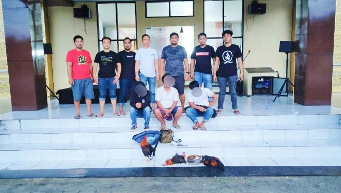 Tim Resmob Polres Torut telah mengamankan 3 orang terduga pelaku judi sabung ayam beserta barang bukti di Wilayah Ne' Tombi, Lembang Tampan Bonga, Kecamatan Bangkelekila’, Kabupaten Toraja Utara, Jumat (19/01/2024) sore. Foto: (Handover).