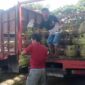 Nampak anggota dari pihak Agen PT. Sinar Ratte, Lapu Saat membagikan jatah tabung Elpiji 3 Kg kepada masyarakat di Lapangan Bakti Rantepao, Kelurahan Singki, Kecamatan Rantepao, Kabupaten Toraja Utara, Kamis (18/01/24) pagi.