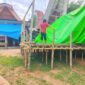 Tim Resmob membongkar arena yang bakal dijadikan tempat judi sabung ayam di Lembang Tokesan, Kecamatan Sangalla Selatan, Kabupaten Tana Toraja, Provinsi Sulawesi Selatan, Jumat (09/02/2024) siang. Foto Dok: Handover.