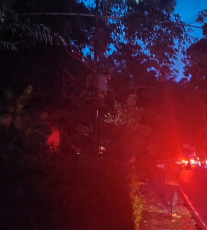 Tim Ranger ULP PLN Rantepao melakukan pembersihan pohon bambu yang menimpa jaringan listrik (JTM) di depan Kete' Kesu, Kecamatan Rantepao, Toraja Utara, Sulsel, Minggu malam (24/03024). Foto Dok: (Ist).