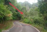 Kabel Jaringan Tegangan Menengah (JTM) yang tertimpa pohon di Jalan Poros Buntao-Rantebua, Kelurahan Tallangsura, Kecamatan Buntao, Kamis (10/10/2024) pagi. Foto Dok: Redaksi.