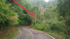 Kabel Jaringan Tegangan Menengah (JTM) yang tertimpa pohon di Jalan Poros Buntao-Rantebua, Kelurahan Tallangsura, Kecamatan Buntao, Kamis (10/10/2024) pagi. Foto Dok: Redaksi.