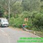 Foto open camera lokasi pembersihan Kabel JTM oleh Tim Yantek ULP PLN Rantepao. Nampak tim Yantek lakukan pembersihan di lokasi tumbangnya pohon yang menimpa jaringan Kabel JTM. Foto Dok: Handover.