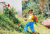 Kepala sekolah SMPN 1 Denpina melaksanakan pemotongan rumput agar tercipta lingkungan yang rapih dan indah. Foto: Redaksi.