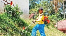 Kepala sekolah SMPN 1 Denpina melaksanakan pemotongan rumput agar tercipta lingkungan yang rapih dan indah. Foto: Redaksi.
