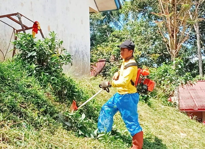 Kepala sekolah SMPN 1 Denpina melaksanakan pemotongan rumput agar tercipta lingkungan yang rapih dan indah. Foto: Redaksi.