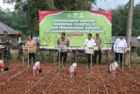 Penanaman jagung serentak dihadiri Forkopimda. Foto Dok: Handover