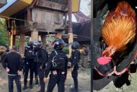 Satua perintis Polres Torut saat melakukan pengerebekan dan pembubaran judi sabung ayam di Lembang Tondon Matallo, Kecamatan Tondon, Kabupaten Toraja Utara, Sulawesi Selatan, Kamis (17/07/2025) sore. Foto Dok: Humas Polres Torut.