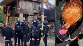 Satua perintis Polres Torut saat melakukan pengerebekan dan pembubaran judi sabung ayam di Lembang Tondon Matallo, Kecamatan Tondon, Kabupaten Toraja Utara, Sulawesi Selatan, Kamis (17/07/2025) sore. Foto Dok: Humas Polres Torut.