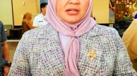 Wakil Gubernur Sulsel Fatmawati Rusdi. Foto Dok: Ist.