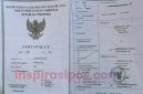 Arsip Sertifikat Tanah yang dinyatakan hilang. Daftar terlampir di kantor Notaris Pahala Lammiduk Rumahorbo, Jl. Monginsidi, Depan SMA Katolik Rantepao, Kecamatan Rantepao, Kabupaten Toraja Utara, Sulawesi Selatan, Selasa (16/09/2025).