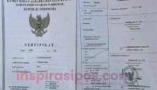 Arsip Sertifikat Tanah yang dinyatakan hilang. Daftar terlampir di kantor Notaris Pahala Lammiduk Rumahorbo, Jl. Monginsidi, Depan SMA Katolik Rantepao, Kecamatan Rantepao, Kabupaten Toraja Utara, Sulawesi Selatan, Selasa (16/09/2025).