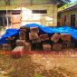 Kayu Jenis Uru' barang bukti yang diduga hasil pembalakan liar di Kawasan Hutan Lindung, Lembang Pulu-pulu, Kecamatan Buntu Pepasan, Kamis (28/8/2025) sore. Foto Dok: Redaksi/inspirasipos.com
