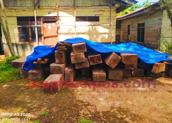 Kayu Jenis Uru' barang bukti yang diduga hasil pembalakan liar di Kawasan Hutan Lindung, Lembang Pulu-pulu, Kecamatan Buntu Pepasan, Kamis (28/8/2025) sore. Foto Dok: Redaksi/inspirasipos.com
