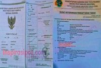 Arsip Sertifikat Tanah yang dinyatakan hilang. Daftar terlampir di kantor Notaris Pahala Lammiduk Rumahorbo, Jl. Monginsidi, Depan SMA Katolik Rantepao, Kecamatan Rantepao, Kabupaten Toraja Utara, Sulawesi Selatan, Rabu (24/09/2025).