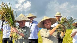 Kantor Pertanahan (Kantah) Kabupaten Gianyar, Kementerian Agraria dan Tata Ruang/Badan Pertanahan Nasional (ATR/BPN), Provinsi Bali, menyelenggarakan kegiatan Panen Padi Sehat (Organik) Subak Gunung Jimbar Kelod Desa Petak Kecamatan Gianyar, Rabu (3/9). (Foto: Humas BPN Gianyar)