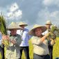 Kantor Pertanahan (Kantah) Kabupaten Gianyar, Kementerian Agraria dan Tata Ruang/Badan Pertanahan Nasional (ATR/BPN), Provinsi Bali, menyelenggarakan kegiatan Panen Padi Sehat (Organik) Subak Gunung Jimbar Kelod Desa Petak Kecamatan Gianyar, Rabu (3/9). (Foto: Humas BPN Gianyar)