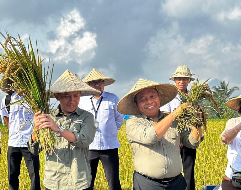 Kantor Pertanahan (Kantah) Kabupaten Gianyar, Kementerian Agraria dan Tata Ruang/Badan Pertanahan Nasional (ATR/BPN), Provinsi Bali, menyelenggarakan kegiatan Panen Padi Sehat (Organik) Subak Gunung Jimbar Kelod Desa Petak Kecamatan Gianyar, Rabu (3/9). (Foto: Humas BPN Gianyar)